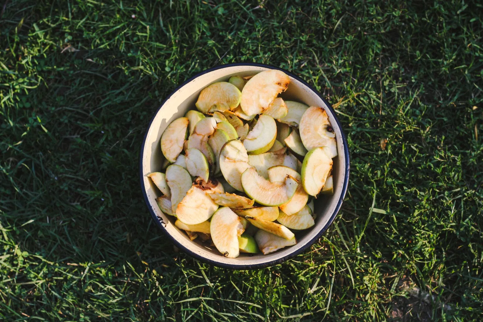 Sliced apples in a bowl placed on grass, perfect for nature-themed culinary photography.